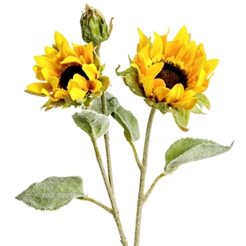 Sunflower - Windy 2 Blooms 1 Bud Yellow - FSS017-YE 