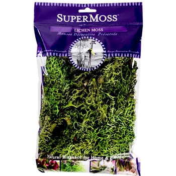 Moss Preserved - Lichen Green 4OZ 