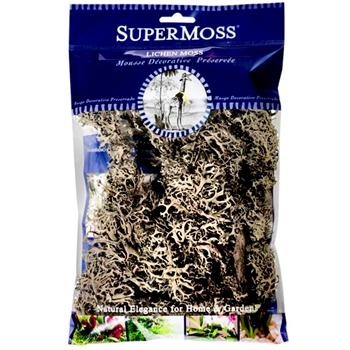 Moss Preserved - Lichen Grey 4OZ 