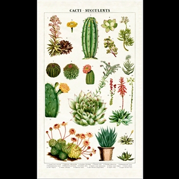 Tea Towel - Succulents 19x32 100% Cotton - Italy