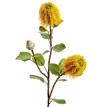 Banksia - Blossom Branch Ochre Yellow 28in - FSB432-YE