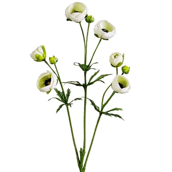 Ranunculus - Bells Spray 25in White - FSR411-CR