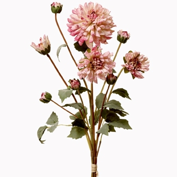 Dahlia - Bouquet 23in Mauve 6 Buds - FBQ243-LV/PK