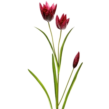 Fritillaria - Burgundy  27in - FSF276-BU