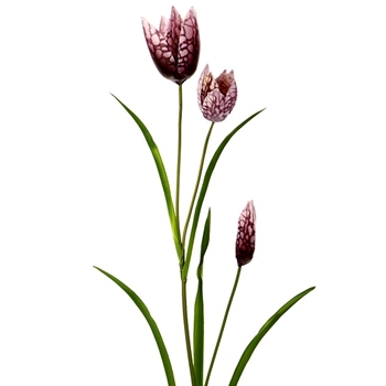 Fritillaria - Violet  27in - FSF276-PU