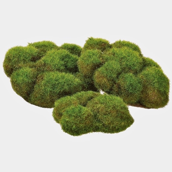 Moss - Mood Buns Faux Package 3 asst 6x6in