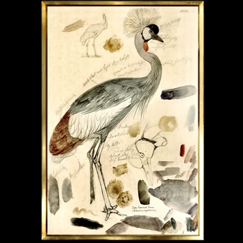 25W/37H Framed Print Lear Crowned Crane LG