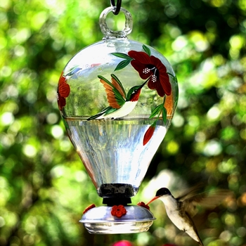 Hummingbird Feeder - Balloon Gondola - 6x10in 50 OZ Hand Blown Painted Recycled Glass - Dripless 