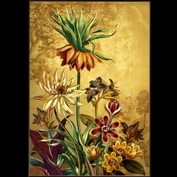 42W/60H Framed Giclee - Curiousities III Tropical Garden - Dark Bronze Gallery Float Frame- Jackie Von Tobel.