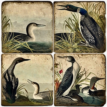 Coaster - Tumbled Marble Set4 - Audubon's Loons