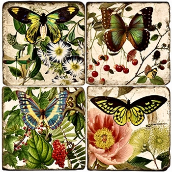 Coaster - Tumbled Marble Set4 - Butterfly Garden 