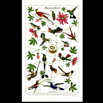 Tea Towel - Hummingbirds 19x32 100% Cotton - Italy