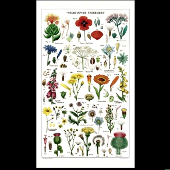 Tea Towel - Wildflowers 19x32 100% Cotton - Italy