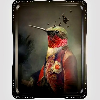 18W/24H Tray - Ambroise Art Print