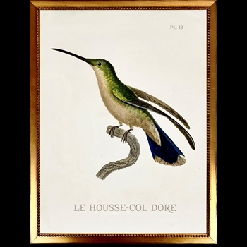 10W/12H Framed Glass Print Hummingbird White F Left  VG