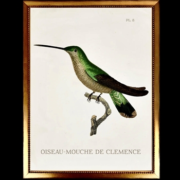 14W/18H Framed Glass Print Hummingbird White H Left VG