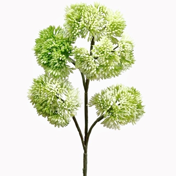 Sedum - Pick Celery Green 5heads 12in FSS786-GR