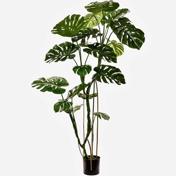 Monstera Tree - 71in Green - LTM180-GR