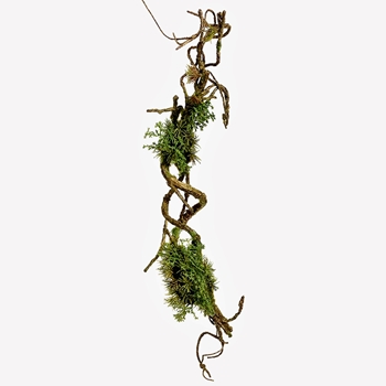 EVG - Moss - Vine Twist Twig - 24inch AA2658-GR