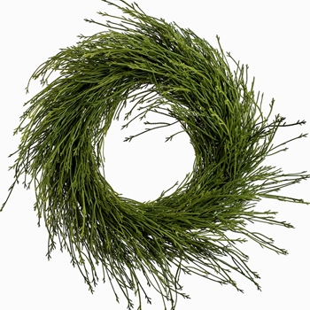 EVW - Clubmoss - Wreath 22in XIG001-GR