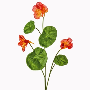 Nasturtium - Flame Red 23in - FSN233-FL