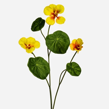 Nasturtium - Yellow 23in - FSN233-YE