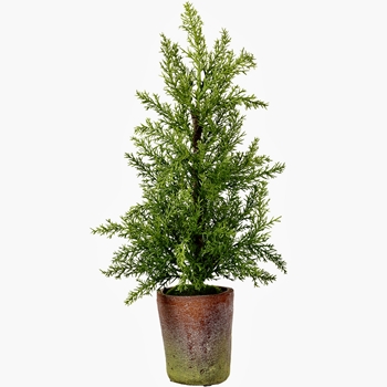 EVT - Cedar Tree Mini Terracotta Pot SM 19in - YTM441-GR