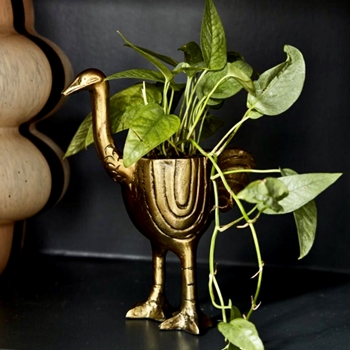 Planter - Ostrich 7x4x8 Gold