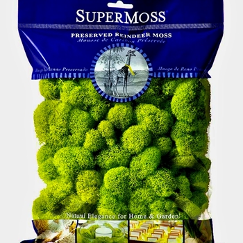 Moss Preserved - Reindeer Apple 4OZ - 10x11in  Bag