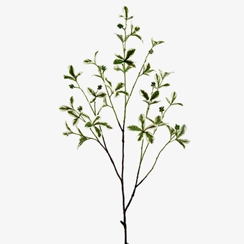 Almond Leaf Branch Variegated 43in PSM346-GR/CR