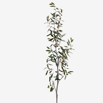 Olive - Branch Olive 68IN - VSO249-GR