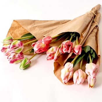 Tulip Bouquet Variegated Pinks Kraft Wrapped 5 stems 19in Real Touch